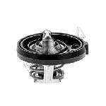 Termostat, rashladna tečnost MOTORAD 340-91K IC-E6C6D6