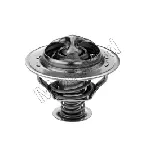 Termostat, rashladna tečnost MOTORAD 382-85JK IC-E2A61F