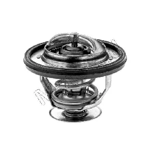 Termostat, rashladna tečnost MOTORAD 416-95K IC-E6C69D