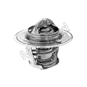 Termostat, rashladna tečnost MOTORAD 421-82K IC-E2A63D