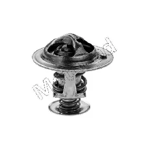 Termostat, rashladna tečnost MOTORAD 446-88K IC-E2A646
