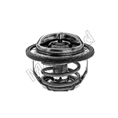 Termostat, rashladna tečnost MOTORAD 461-82K IC-E6C676