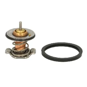 Termostat, rashladna tečnost MOTORAD 484-90INSK IC-E6C686