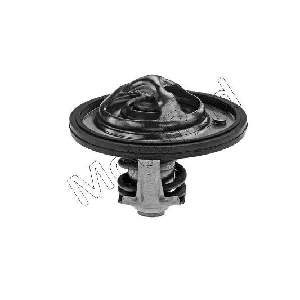 Termostat, rashladna tečnost MOTORAD 513-82K IC-E6C655
