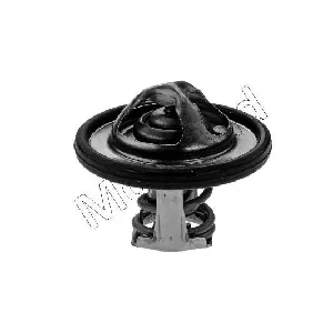 Termostat, rashladna tečnost MOTORAD 531-82K IC-E6C662