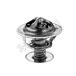 Termostat, rashladna tečnost MOTORAD 536-88K IC-E2A65E