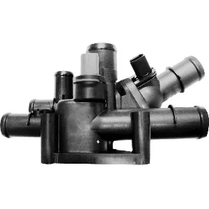 Termostat, rashladna tečnost MOTORAD 596-105K IC-E6C63E