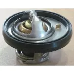 Termostat, rashladna tečnost MOTORAD 656-91K IC-E6C619