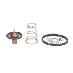 Termostat, rashladna tečnost MOTORAD 724-95K IC-E2A693