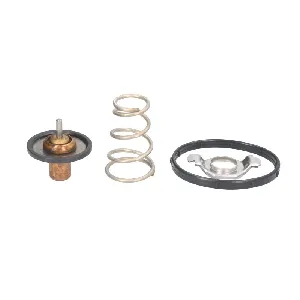 Termostat, rashladna tečnost MOTORAD 724-95K IC-E2A693