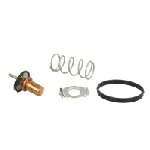 Termostat, rashladna tečnost MOTORAD 799-88K IC-E2A697