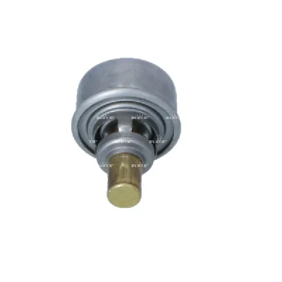 Termostat, rashladna tečnost NRF NRF 725007 IC-G0TPQP