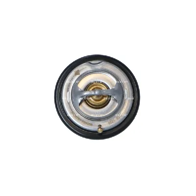 Termostat, rashladna tečnost NRF NRF 725068 IC-G0TPS5