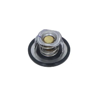Termostat, rashladna tečnost NRF NRF 725080 IC-G0TPSG