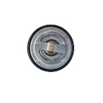 Termostat, rashladna tečnost NRF NRF 725100 IC-G0TRAW