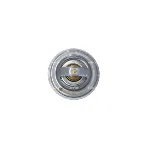 Termostat, rashladna tečnost NRF NRF 725117 IC-G0TRBC