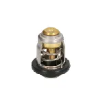 Termostat, rashladna tečnost QUICKSILVER 8M0119207 IC-F8EF11