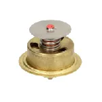 Termostat, rashladna tečnost QUICKSILVER QS864493 IC-G0UB8Q