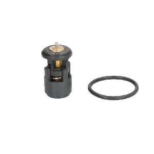 Termostat, rashladna tečnost THERMOTEC D2A005TT IC-F50819