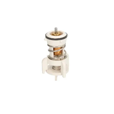 Termostat, rashladna tečnost THERMOTEC D2A010TT IC-G0NKMN