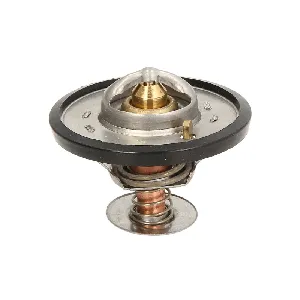 Termostat, rashladna tečnost THERMOTEC D2CA001TT IC-D8399C