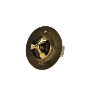 Termostat, rashladna tečnost THERMOTEC D2DA002TT IC-C1411F