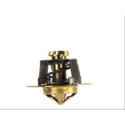 Termostat, rashladna tečnost THERMOTEC D2DA003TT IC-C14121