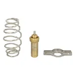 Termostat, rashladna tečnost THERMOTEC D2IV008TT IC-G0SZAT