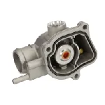 Termostat, rashladna tečnost THERMOTEC D2M009TT IC-F8F1D8