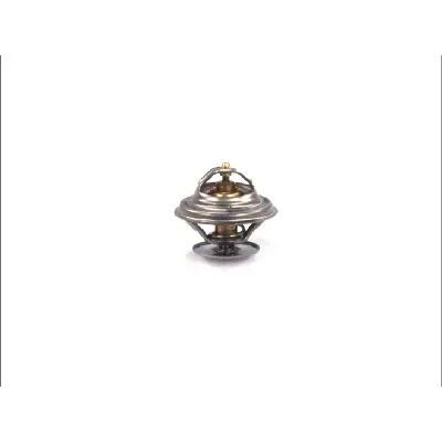 Termostat, rashladna tečnost THERMOTEC D2MA002TT IC-BEE0DD