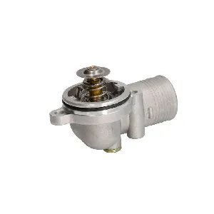 Termostat, rashladna tečnost THERMOTEC D2MF005TT IC-F707EA