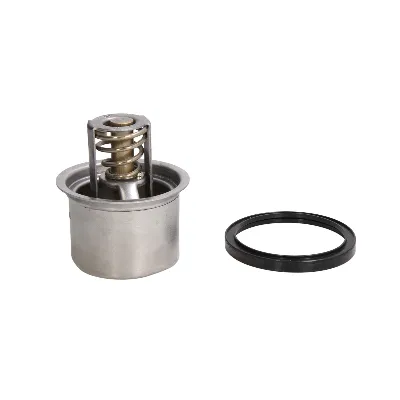 Termostat, rashladna tečnost THERMOTEC D2RV004TT IC-D7F5CC