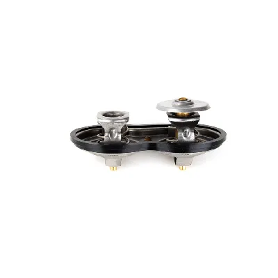 Termostat, rashladna tečnost THERMOTEC D2SC002TT IC-BFE823