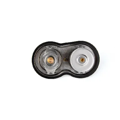 Termostat, rashladna tečnost THERMOTEC D2SC002TT IC-BFE823