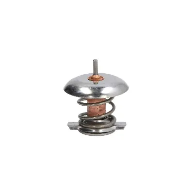Termostat, rashladna tečnost THERMOTEC D2V001TT IC-DD42F2