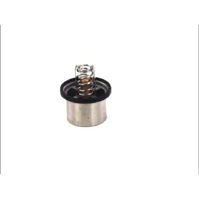 Termostat, rashladna tečnost THERMOTEC D2VO001TT IC-BEE10A