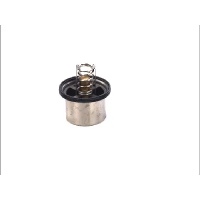 Termostat, rashladna tečnost THERMOTEC D2VO002TT IC-BF7F9F