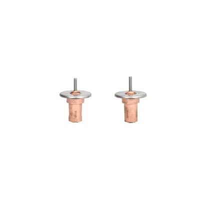 Termostat, rashladna tečnost THERMOTEC D2W001TT IC-DD42F3
