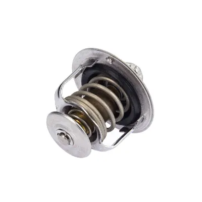 Termostat, rashladna tečnost TOURMAX TMT-101 IC-D0419D
