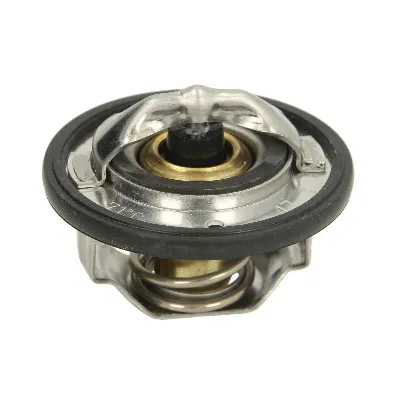 Termostat, rashladna tečnost TOURMAX TMT-201 IC-E1D771