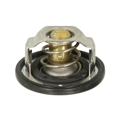 Termostat, rashladna tečnost TOURMAX TMT-201 IC-E1D771