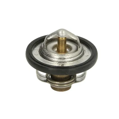 Termostat, rashladna tečnost TOURMAX TMT-301 IC-D0419E