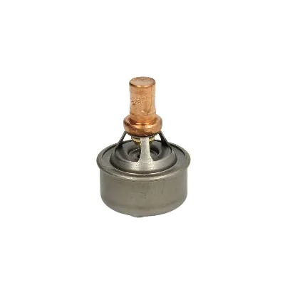 Termostat, rashladna tečnost VERNET TH4495.83 IC-230149