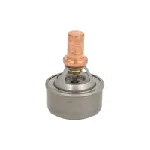 Termostat, rashladna tečnost VERNET TH4495.89 IC-230169