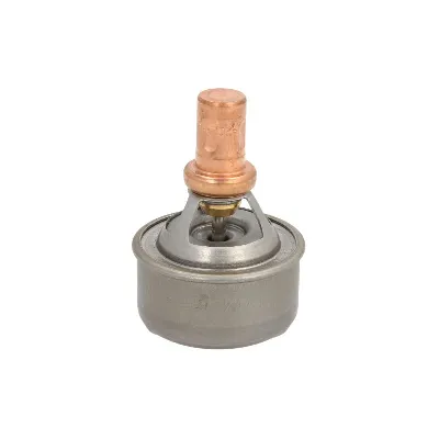 Termostat, rashladna tečnost VERNET TH4495.89 IC-230169