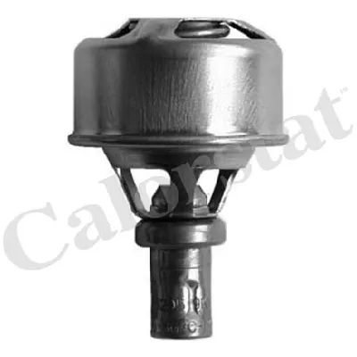 Termostat, rashladna tečnost VERNET TH4495.89 IC-230169