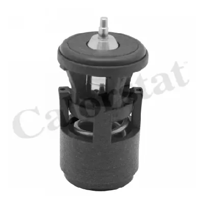 Termostat, rashladna tečnost VERNET TH6274.87J IC-365613