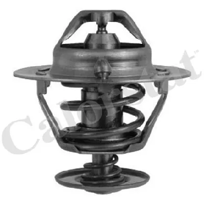 Termostat, rashladna tečnost VERNET TH6294.88J IC-DC20C4