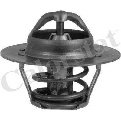 Termostat, rashladna tečnost VERNET TH6318.89J IC-AADC63
