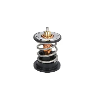 Termostat, rashladna tečnost VERNET TH7287.87 IC-D7086D